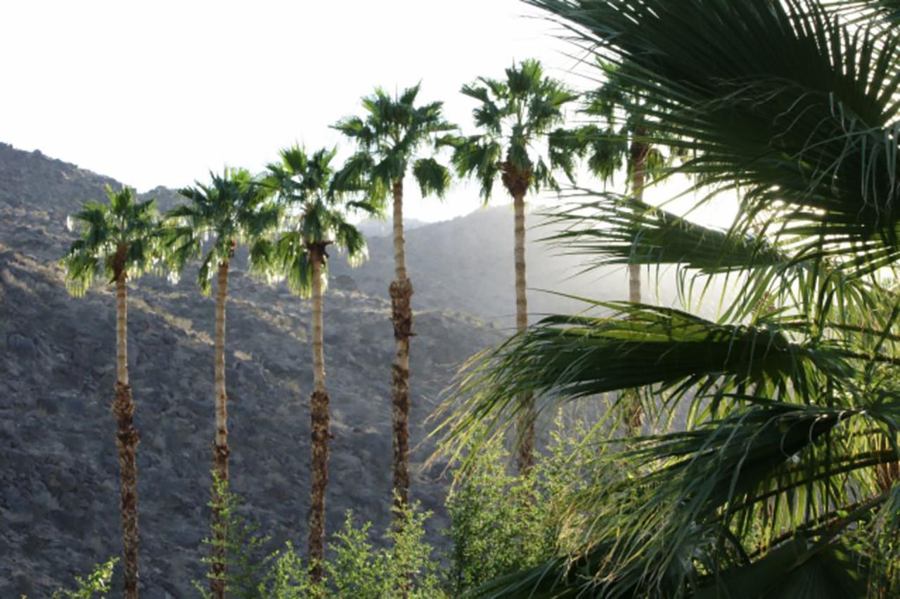 Villa Thornhill Palm Springs Bagian luar foto