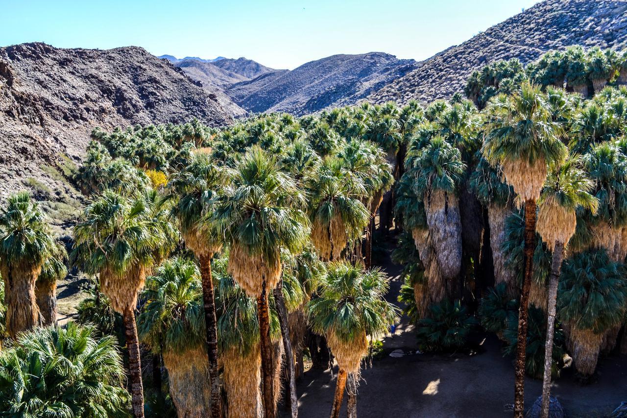 Villa Thornhill Palm Springs Bagian luar foto